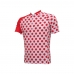CAMISA CICLISMO ADVANCED RED BALL (PLUS SIZE)